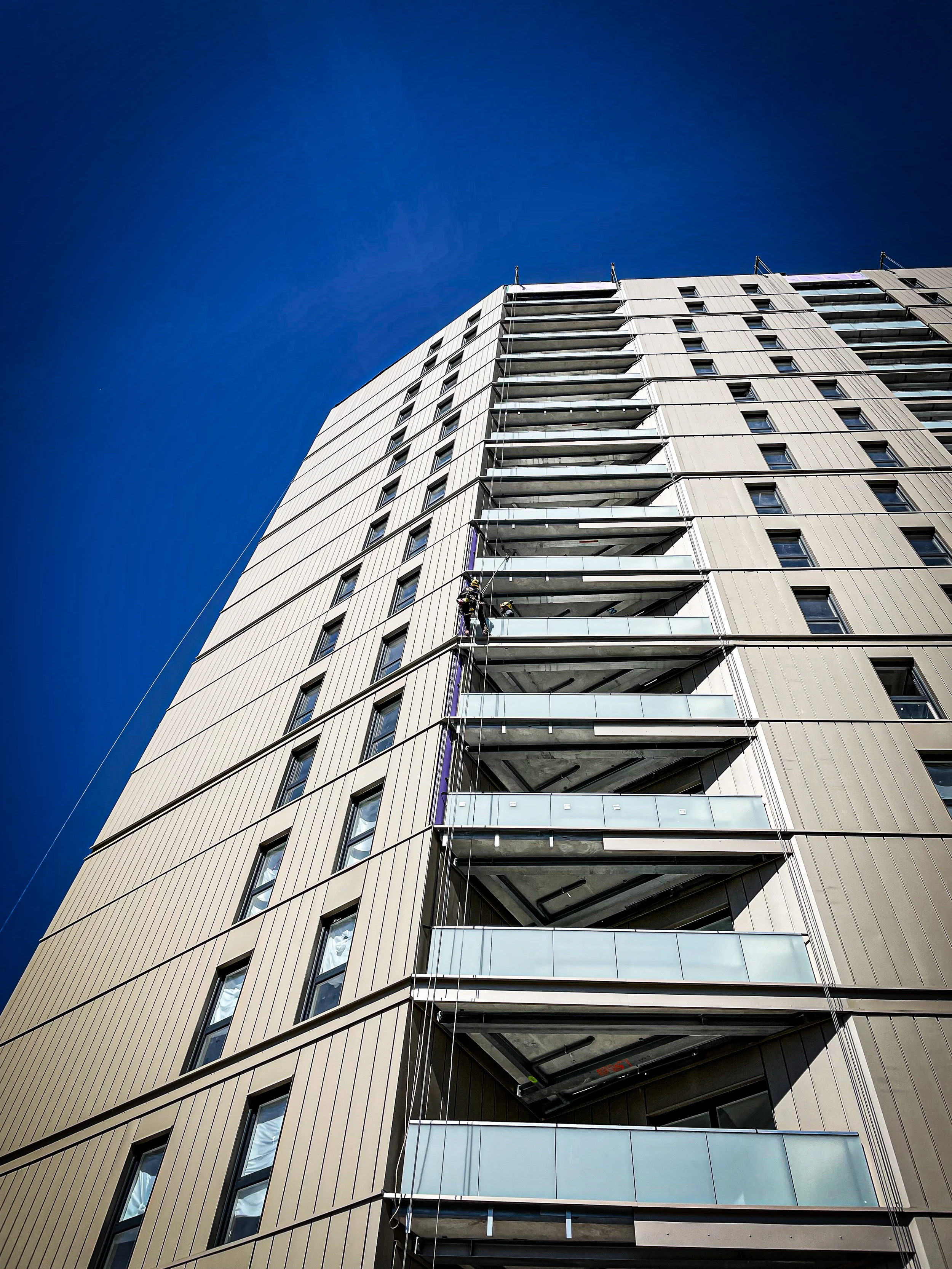 Intervention de cordistes MS Access pour silva style chez SY FACE à Bordeaux (bâtiment) – 3